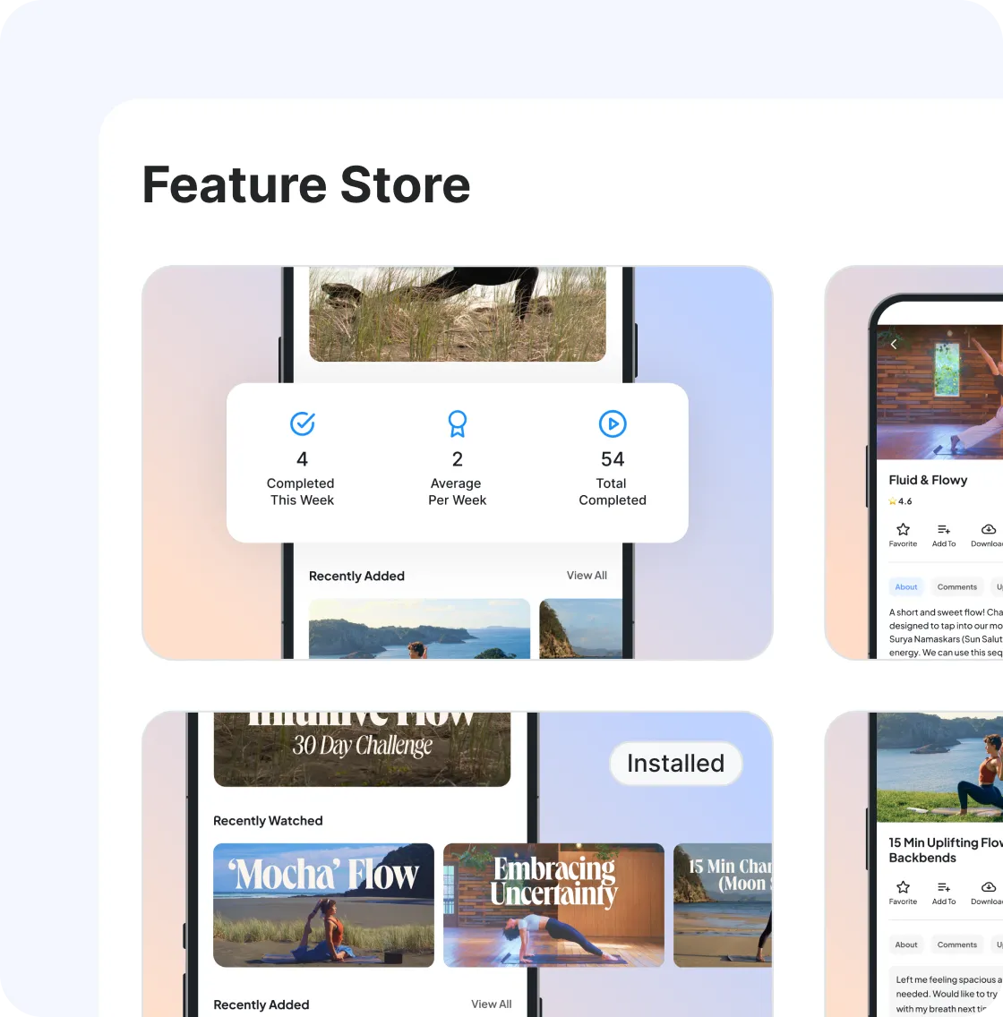 Custom features and app configuration - feature store